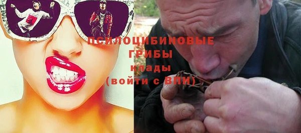 прущие грибы Абдулино