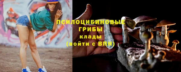 прущие грибы Абдулино
