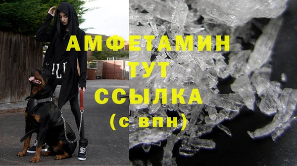 прущие грибы Абдулино