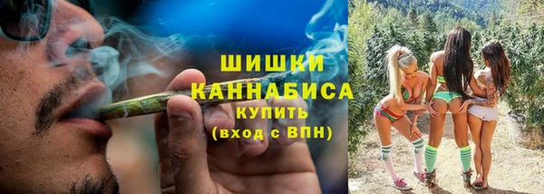 прущие грибы Абдулино