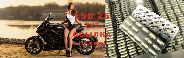 прущие грибы Абдулино